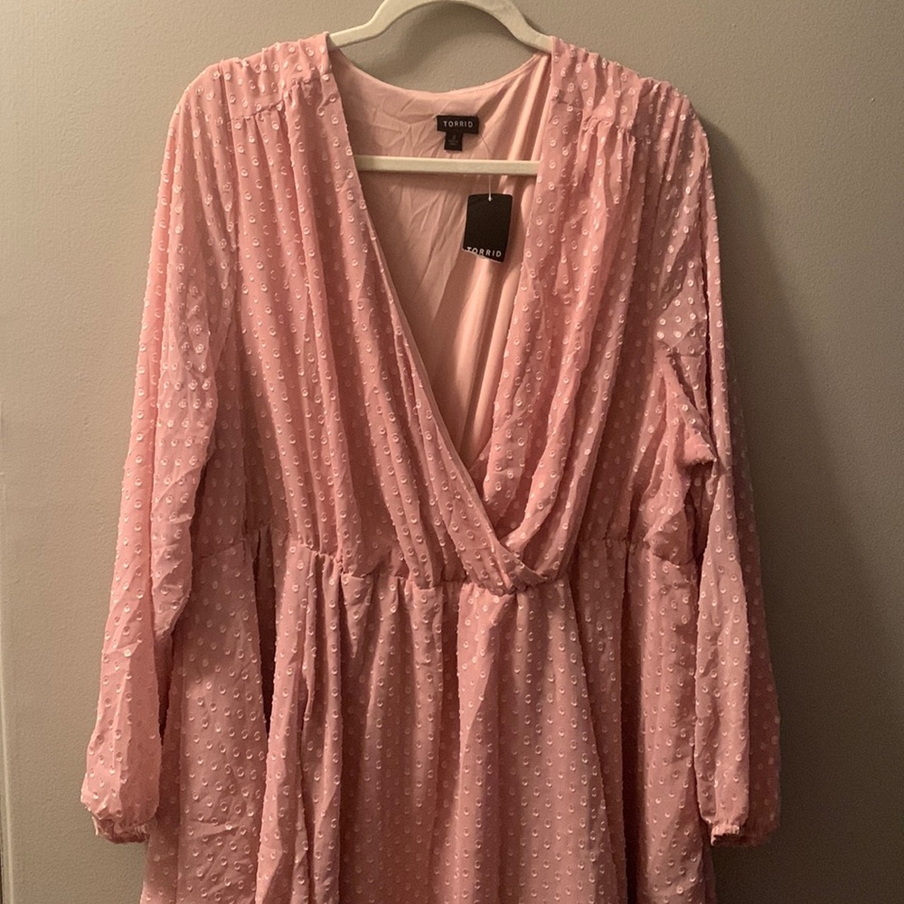 Torrid Swiss dot long sleeve dress